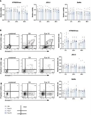 Low Abundance Fusobacterium Nucleatum Supports Early Pregnancy Development – An In Vitro Study